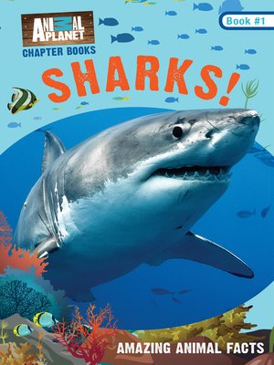 cover image of Sharks!